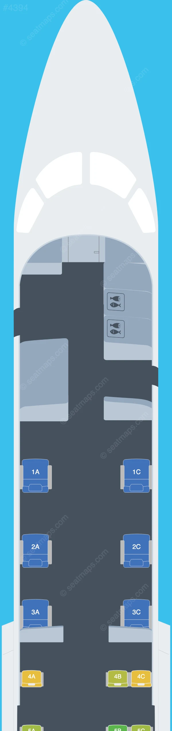 Amelia International Embraer ERJ 135 V.1 seatmap preview